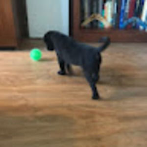 Meet your Posher, Haley